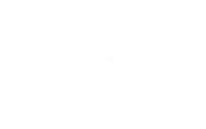 SAUERLAND RENNRAD BITM RZ_Transparent_weiß.png