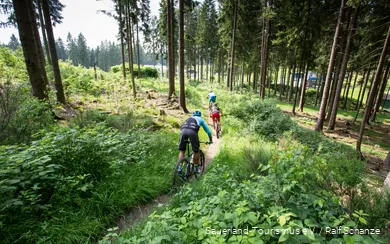 3 Mountainbiker fahren einen Trail hinab