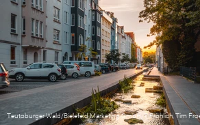 Lutter Ravensberger Straße.jpg