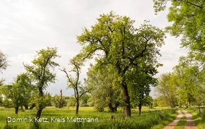 Urdenbacher Kämpe in Monheim am Rhein