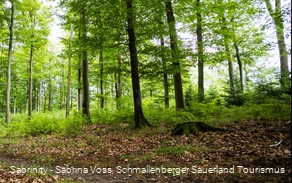 Wandern im Schmallenberger Sauerland und der Ferienregion Eslohe