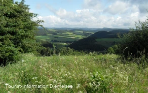 Blick auf Deisfeld und Schweinsbühl