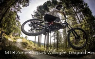 freeride-willingen-sprung-akrobatik c) leopold-hermann-mtb-zone-bikepark-willingen.jpg