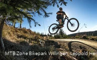 freeride-willingen-sprung-gegen-sonne c) leopold-hermann-mtb-zone-bikepark-willingen.jpg