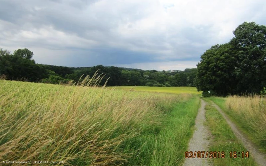 auf kleinen Wegen durch das Naptetal und hinauf nach Bad Meinberg