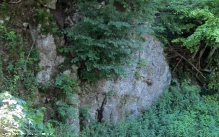 Vulkan-Embrio bei Sandebeck