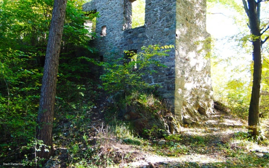 Burgruine Schwarzenberg