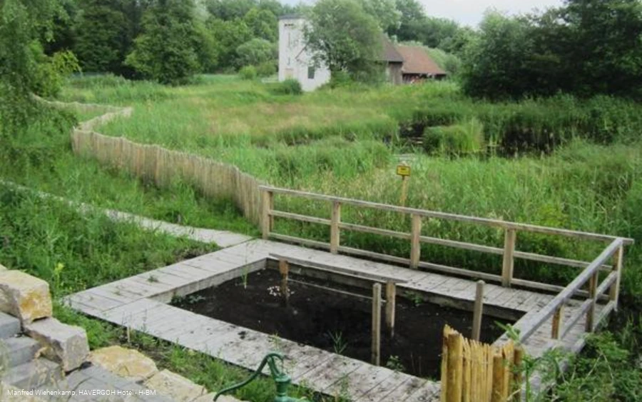 Moortretanlage im Naptetal, Heilmoorabbaugebiet von Bad Meinberg