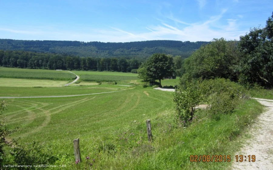 Ostabhang des Eggegebirges im Naturpark Teutoburger Wald