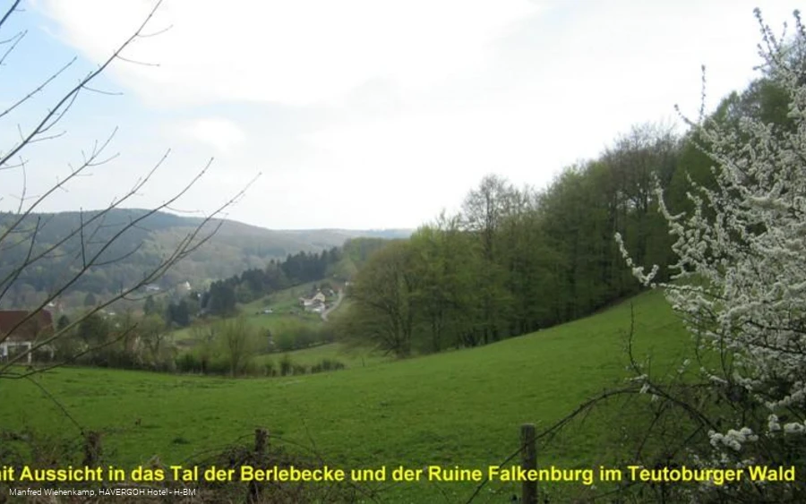 Tal der Berlebecke mit Ruine Falkenburg inmitten der weiten Wälder des Teutoburger Waldes 