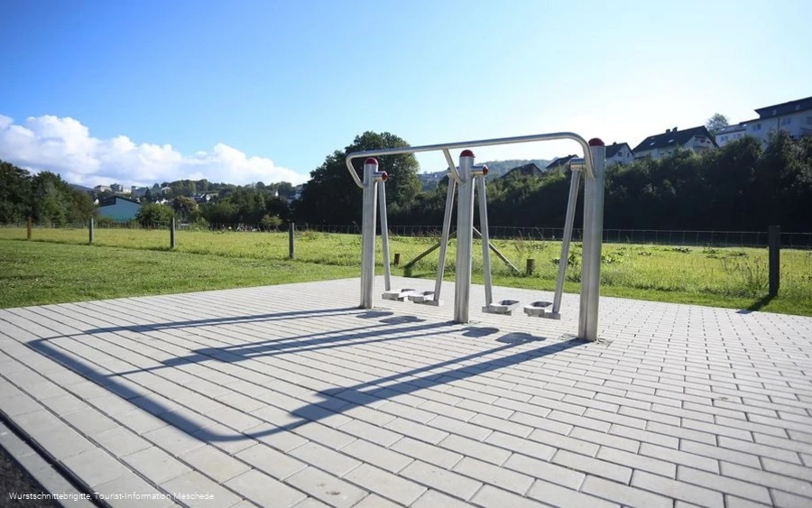 Hennepark - Beintrainer