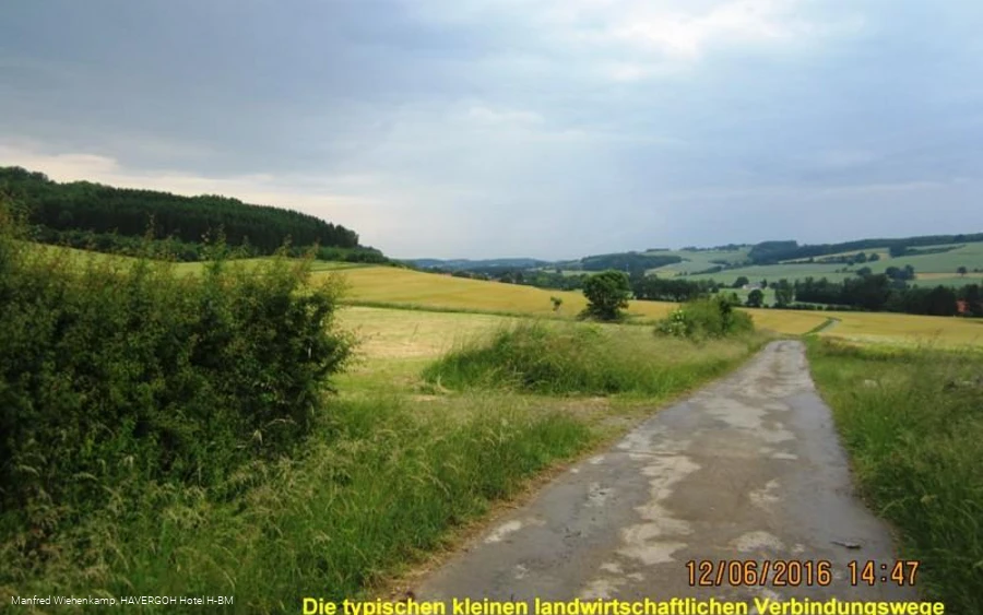 Wirtschaftswege zwischen Bellenberg und Ziegenberg