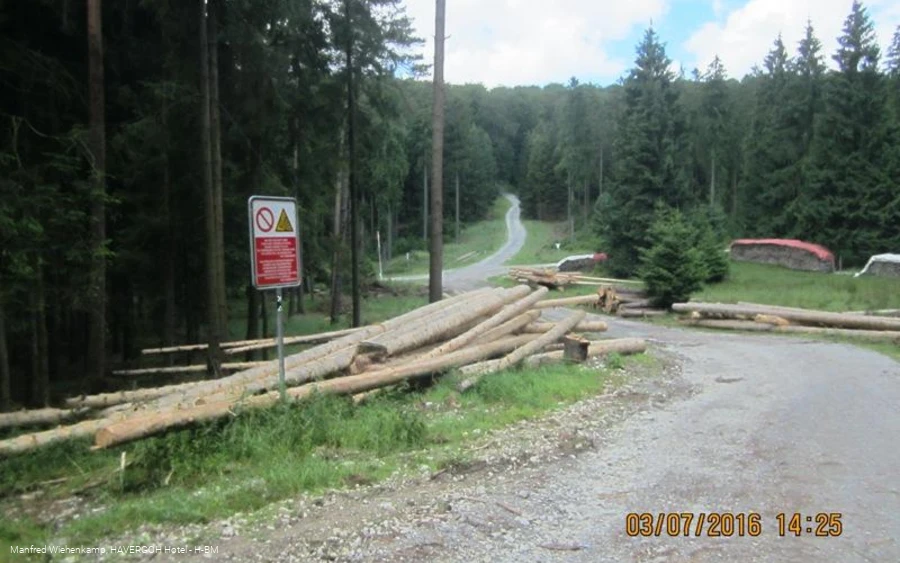 Westlicher Rand des Winnfeldes mit der Grenze zum Truppenplatz Senne