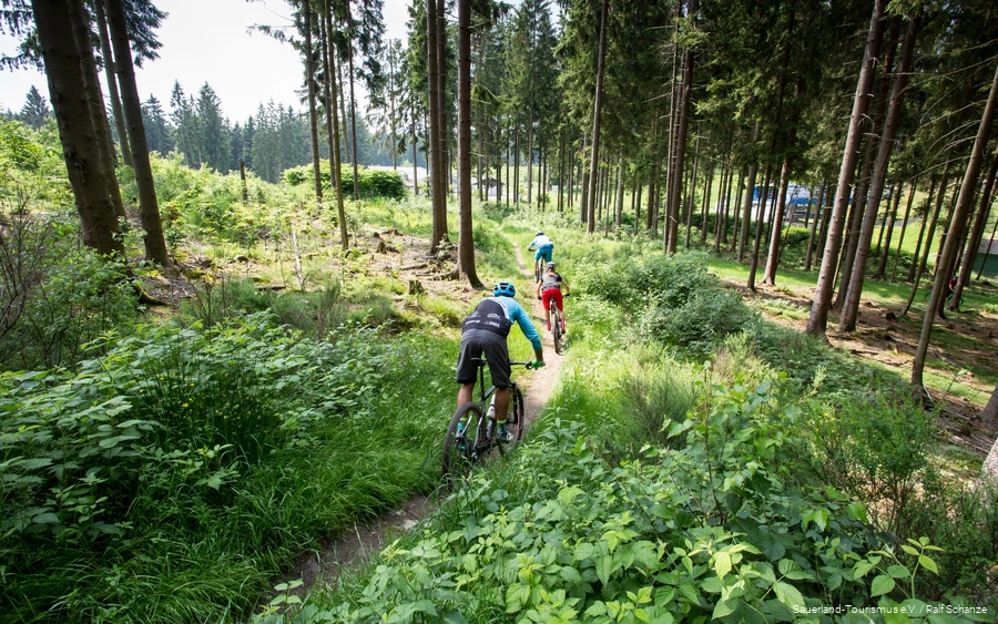 3 Mountainbiker fahren einen Trail hinab