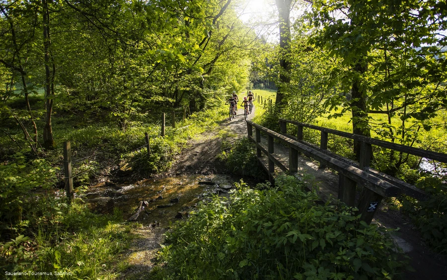 Familie radelt durch Wald über schmalen Weg mit Brücke 