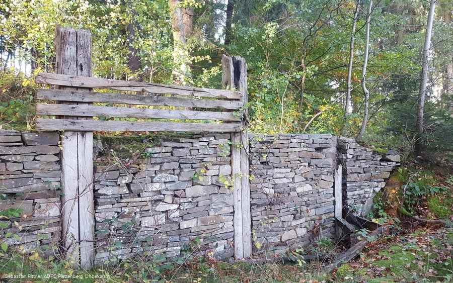 Die Wallburg auf dem Sundern