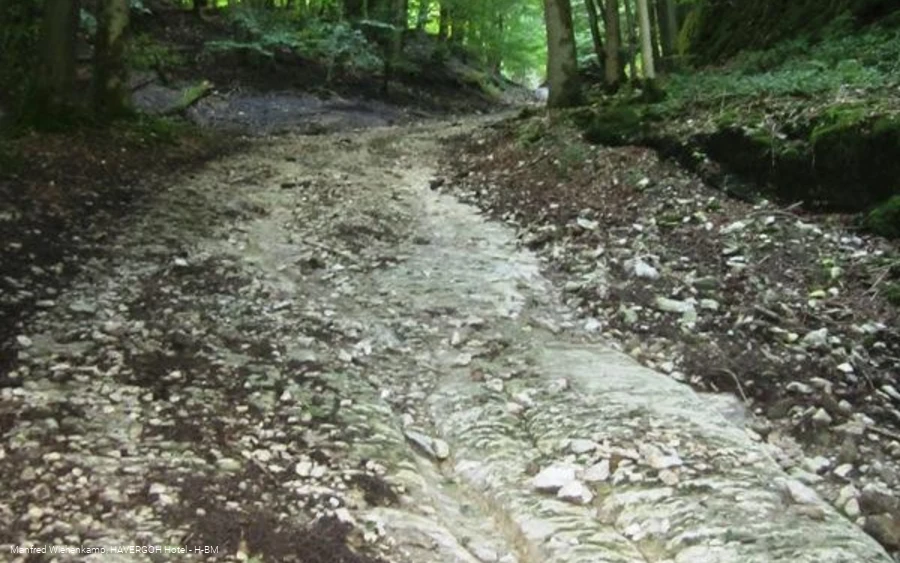 Hohlweg hinauf zum Winnfeld, anspruchsvoller Streckenabschnitt