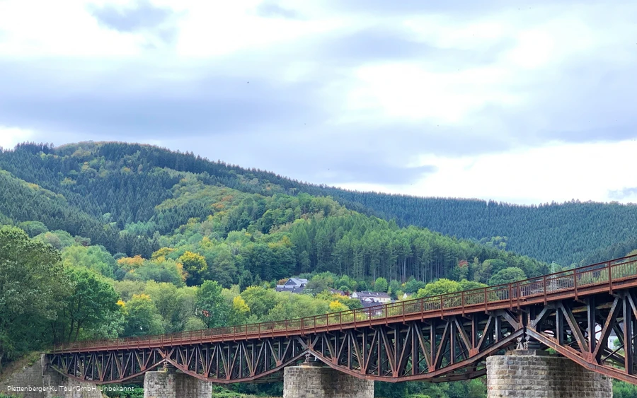 Fischbauchbogenbrücke