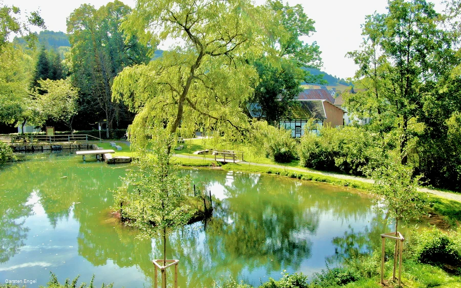 org_1a7419ea95e1406a_1631619094000 (1).jpeg org_1a7419ea95e1406a_1631619094000 (1).jpeg