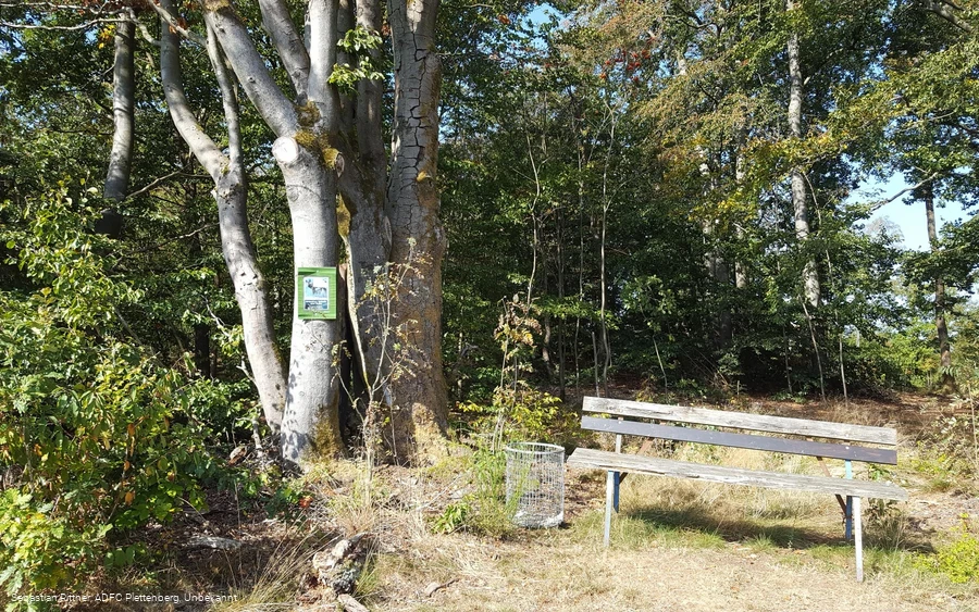 MTB Bergziegen Tour