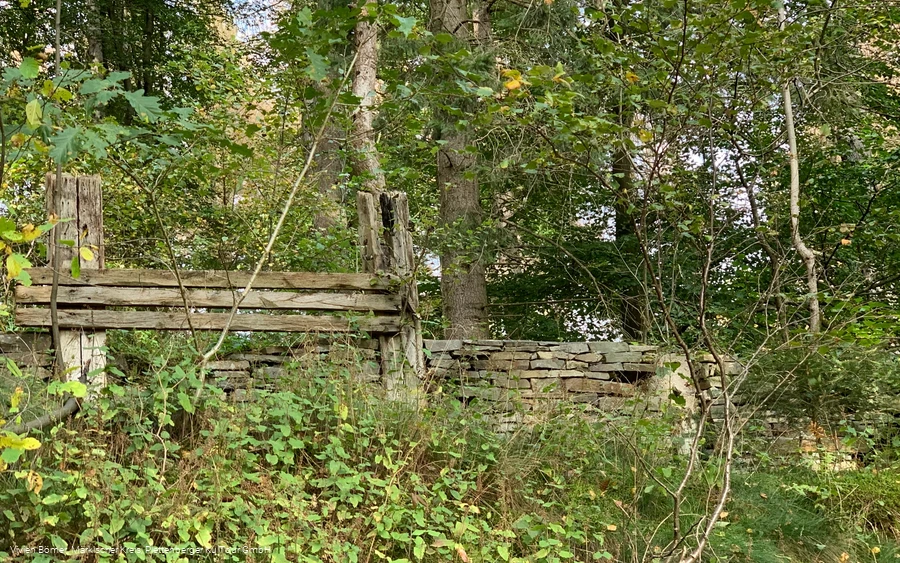 Die Wallburganlage auf dem Sundern