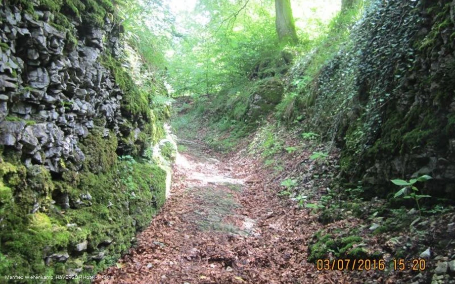 Historischer Hohlweg, künstlich angelegte alte Wegverbindung von West nach Ost über den Teutoburger Wald  