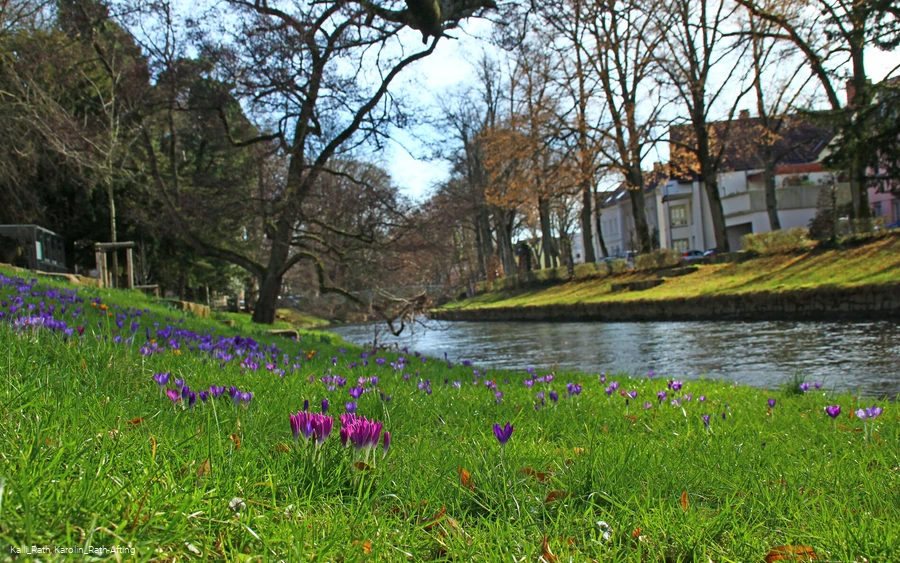 Hönne in der Innenstadt