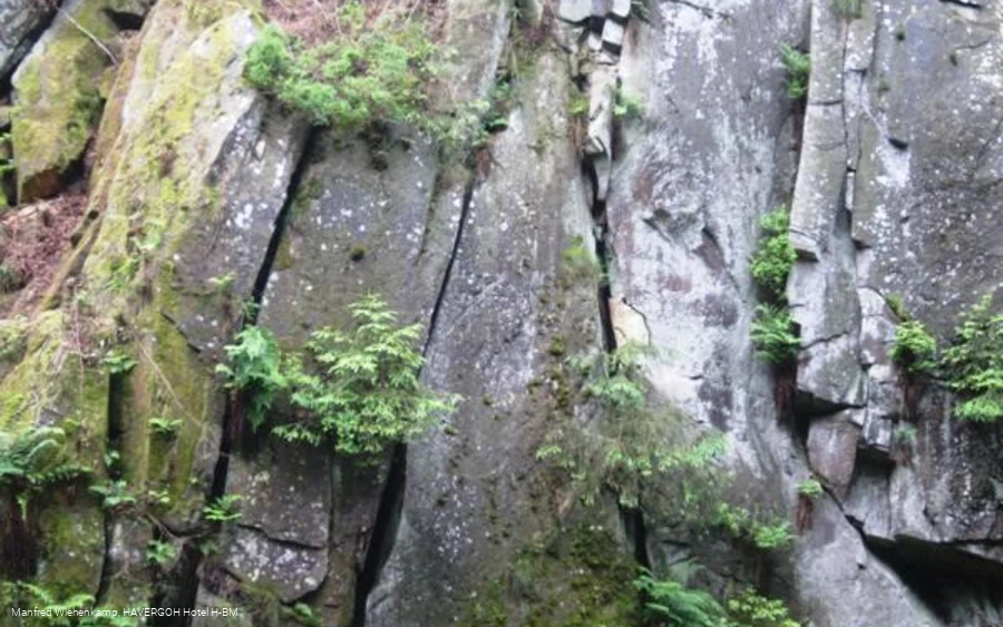Kalksteinklippen unterhalb der Preußischen Velmerstot