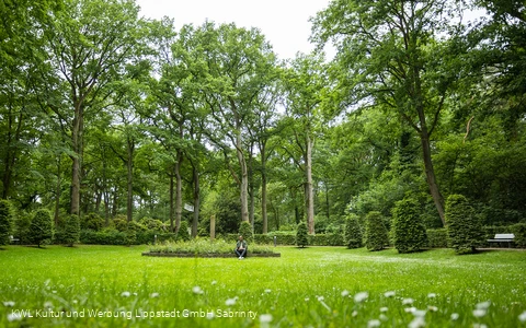 Kurpark Bad Waldliesborn