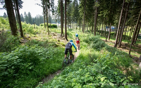 3 Mountainbiker fahren einen Trail hinab
