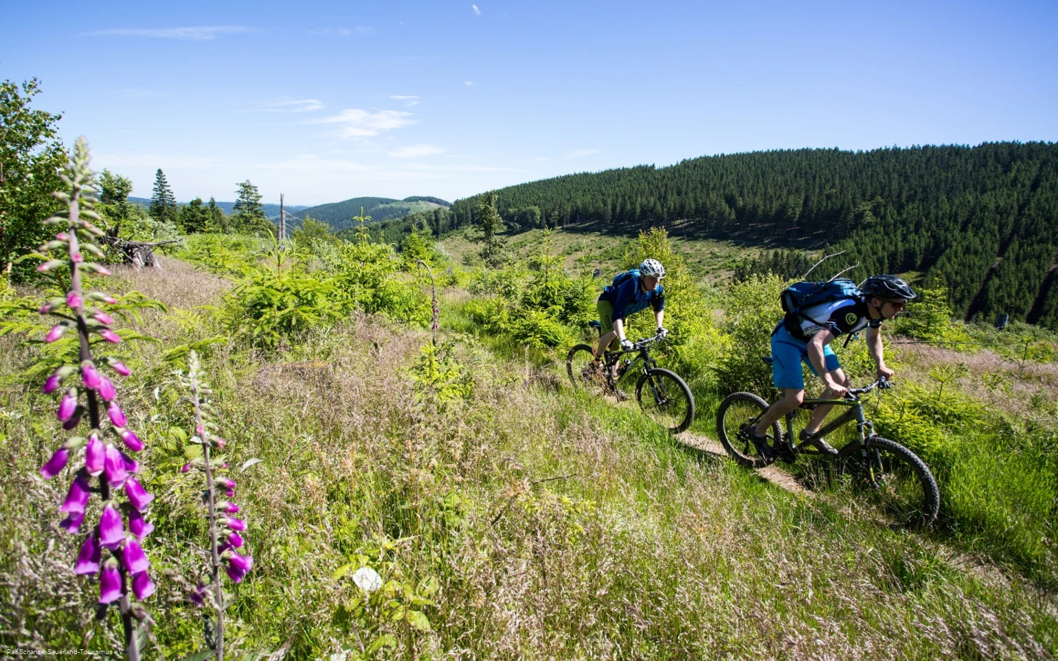Sauerland MTB