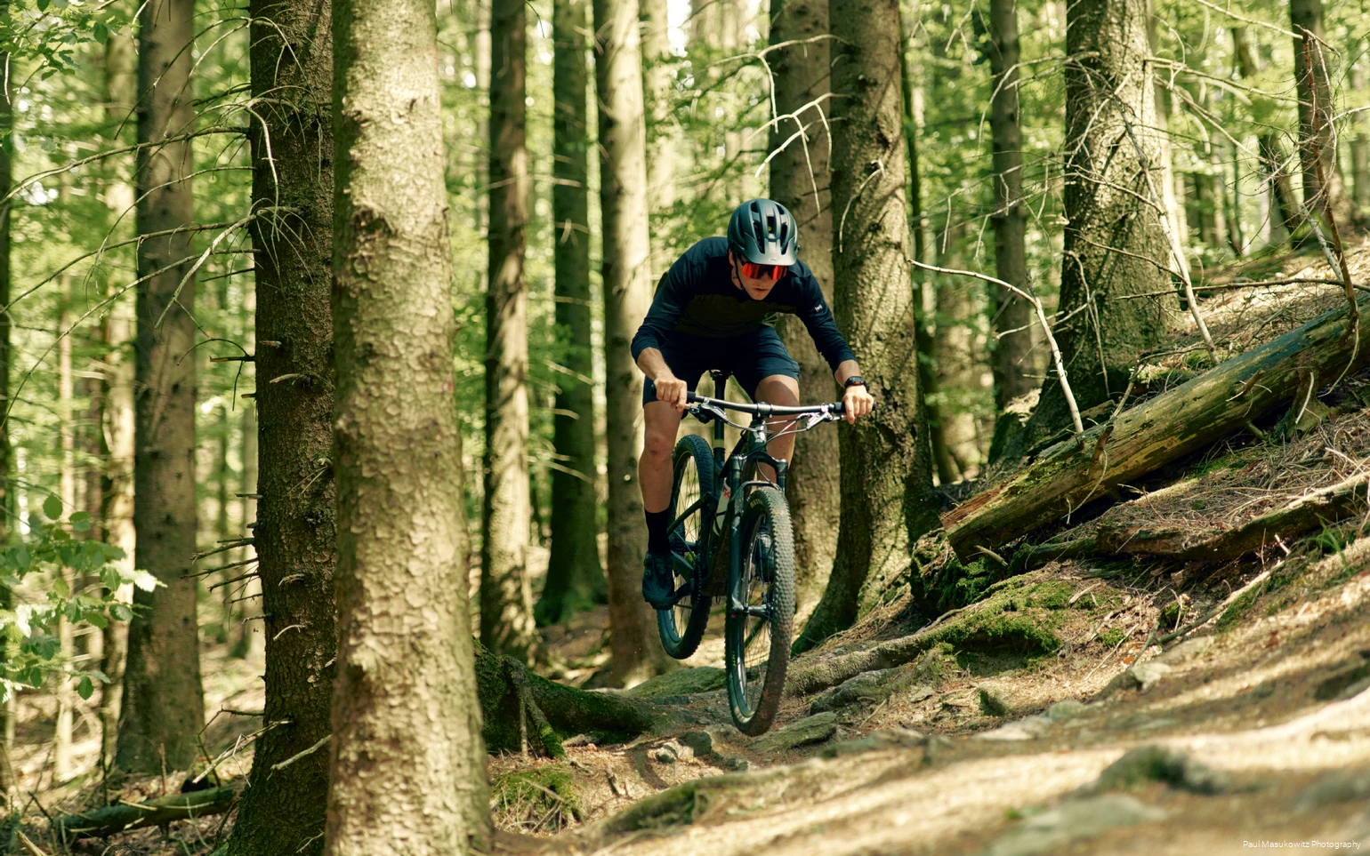 Mountainbiker springt über Wurzeln im Wald.