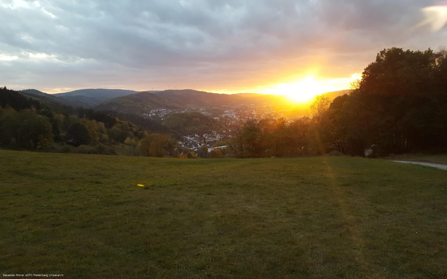 Sehnsuchtsbirke Plettenberg