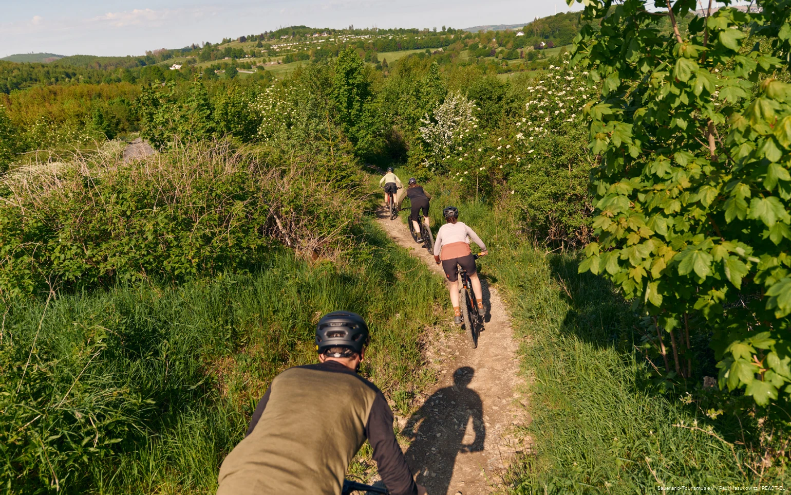 Gruppe von Mountainbikern fährt einen Trail entlang, im Hntergrund sind Berge zu sehen.