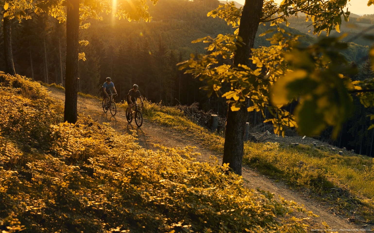 Zwei Gravelbiker fahren einen Forstweg entlang, hinter ihnen geht die Sonne unter.