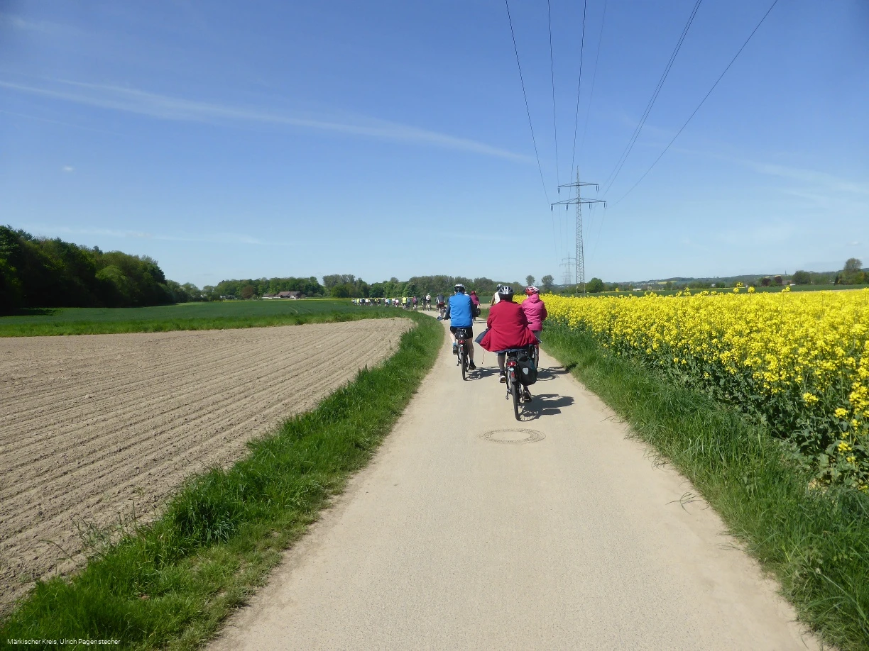 Radler mit Rapsfeld