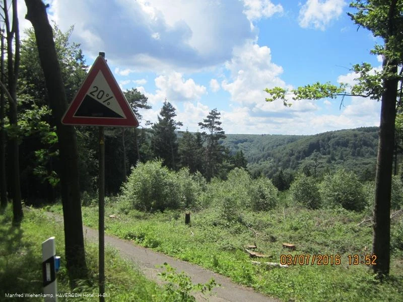 Im wilden Auf und Ab durch die Wälder des Teutoburger Waldes