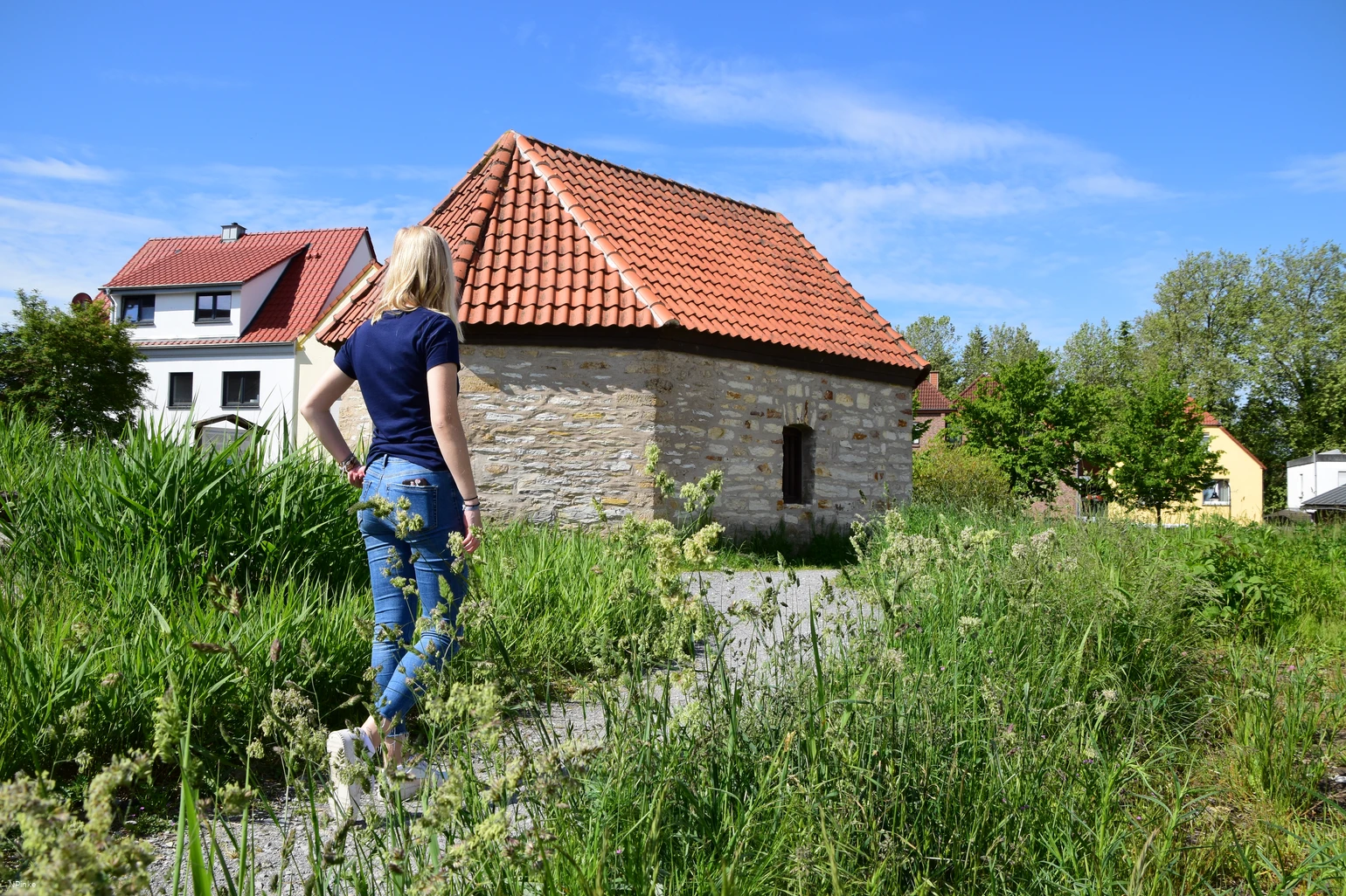 Kütfelsen und Unitasquelle  Salzkotten