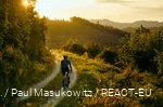 Gravelbiker fährt richtig aufgehender Sonne. Der Ginster blüht und das Licht ist golden.